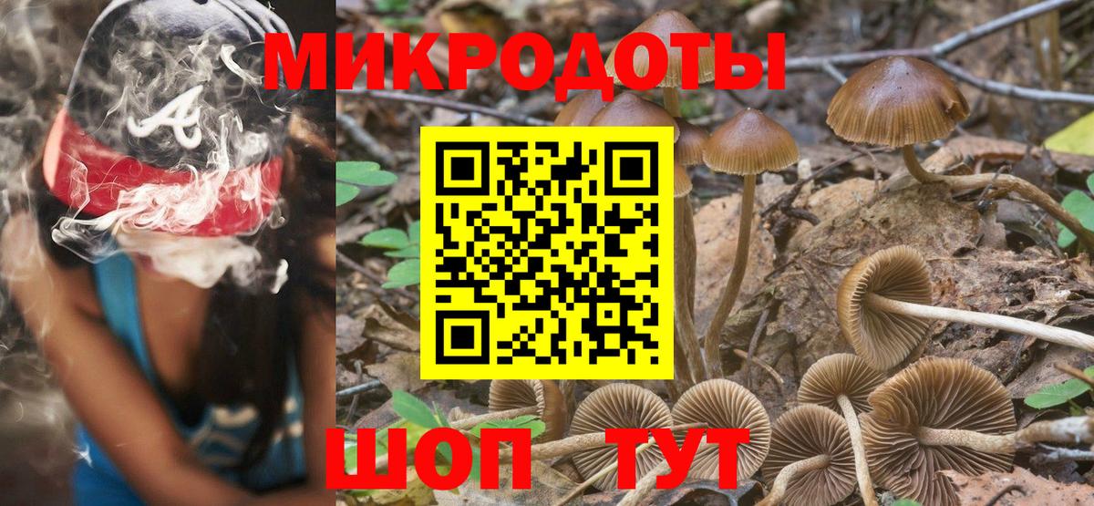 Галлюциногенные грибы Cubensis  Галлюциногенные грибы Magic Shrooms  Пугачёв  Вход с VPN 