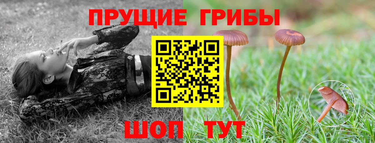 Псилоцибиновые грибы мухоморы Пугачёв
