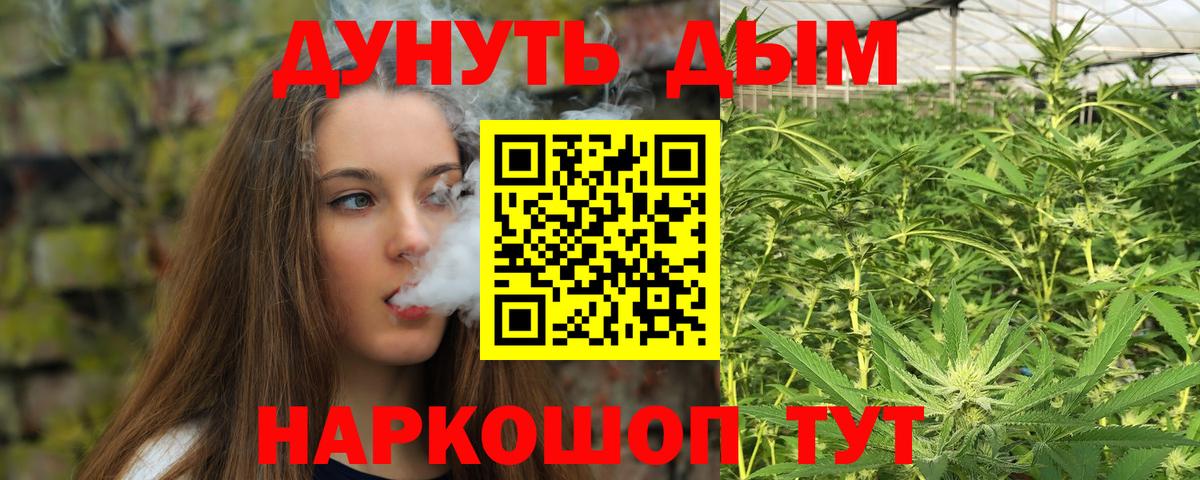 Шишки марихуана SATIVA & INDICA  Конопля сатива  Бошки Шишки сатива  Пугачёв  Вход с VPN 